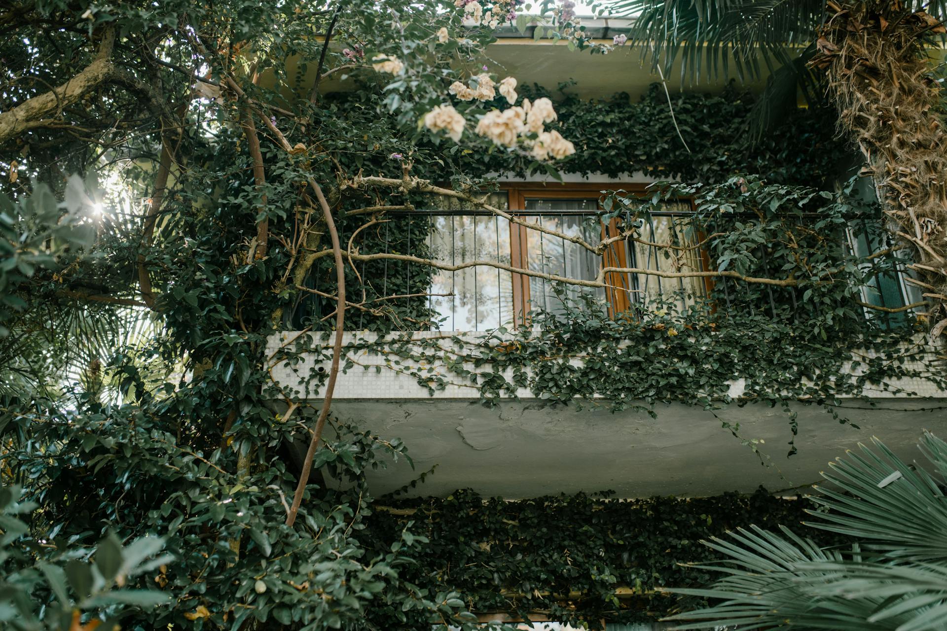 Balcony Garden In House