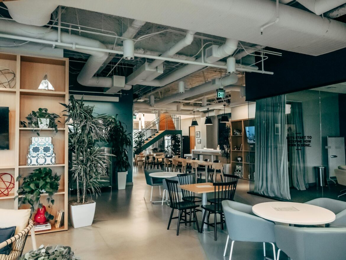 Interior Design Indoor Plants