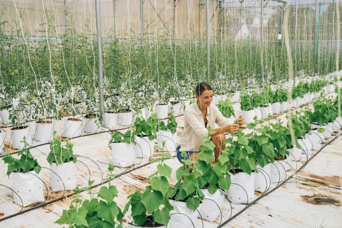 Vertical Gardening
