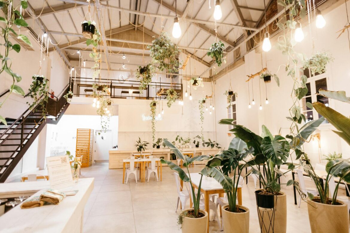 Best Low Light Indoor Plants