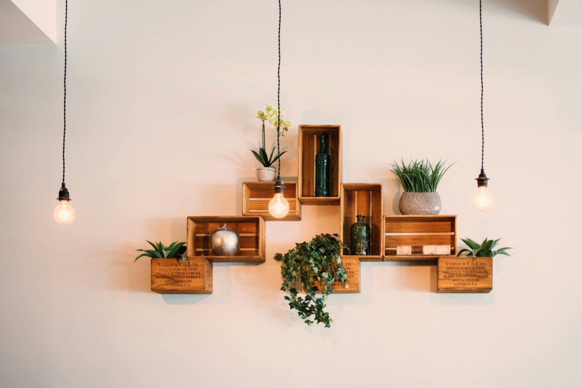 Indoor Plants