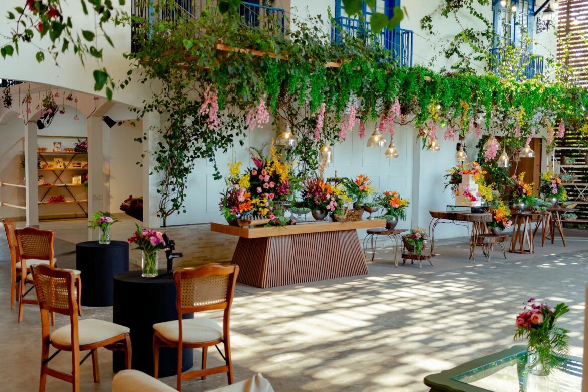 Indoor Plants Without Sunlight