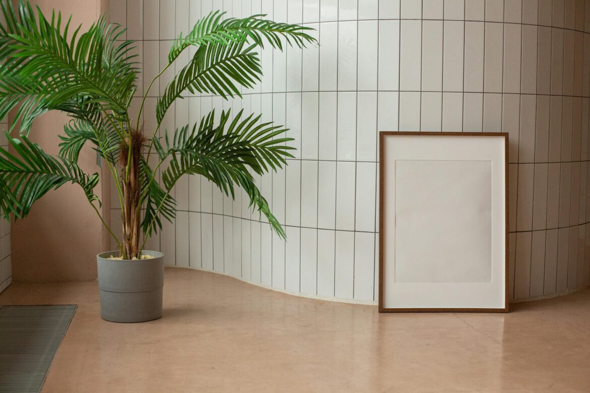 large indoor plants