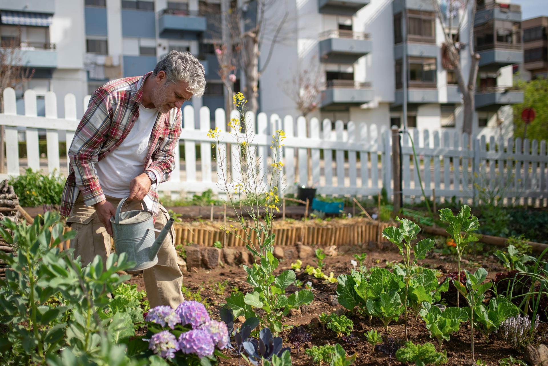 Garden Maintain