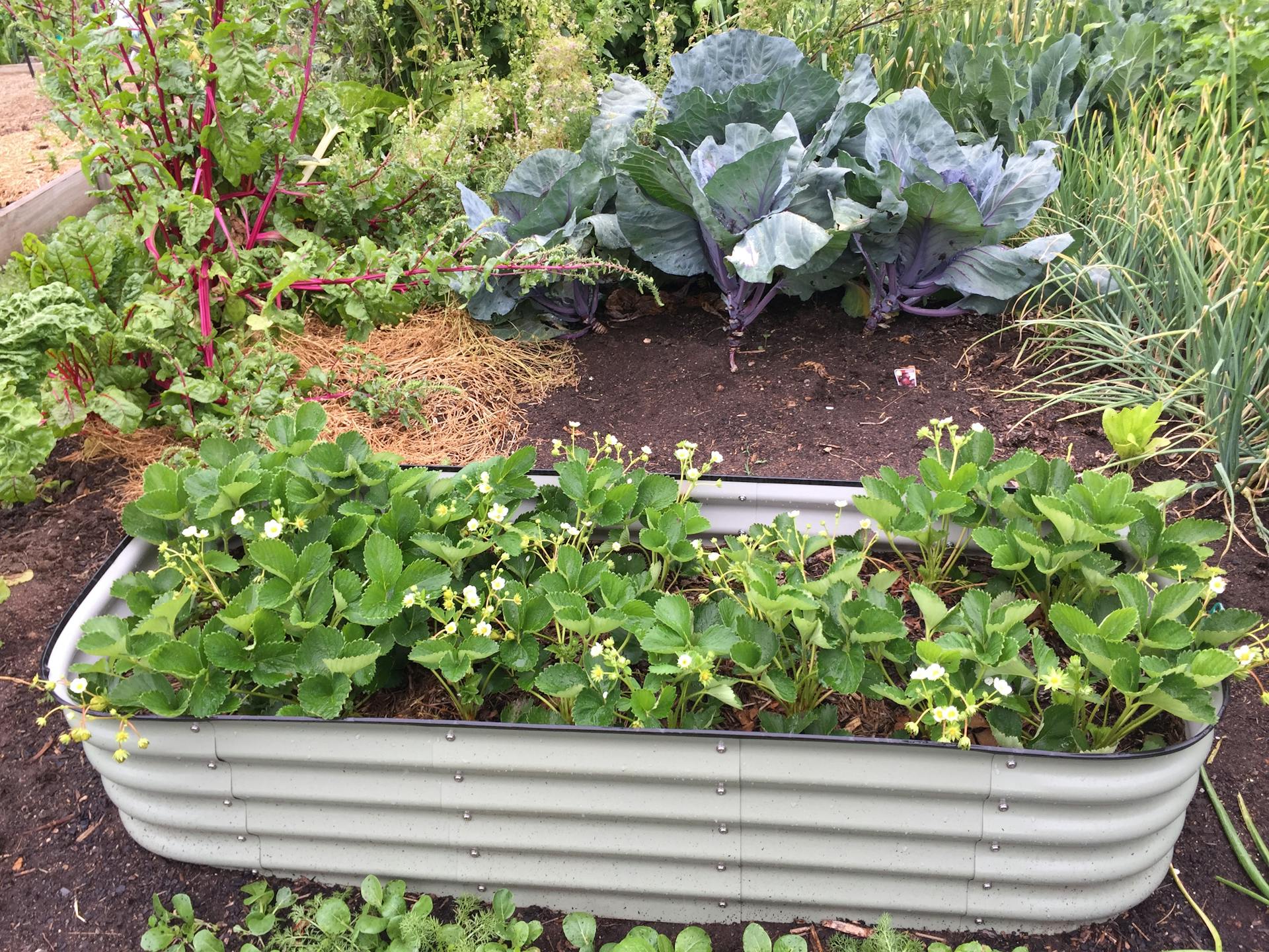 Sustainable Garden